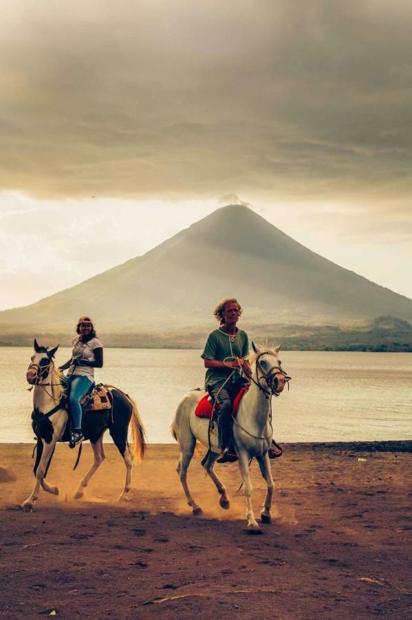 Caballito'S Mar Mérida エクステリア 写真